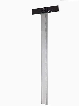 T scale (24")
